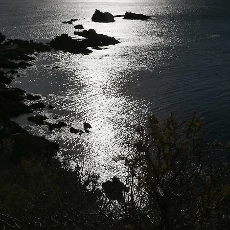 Daire Le Verger Des Naiades Le Lavandou